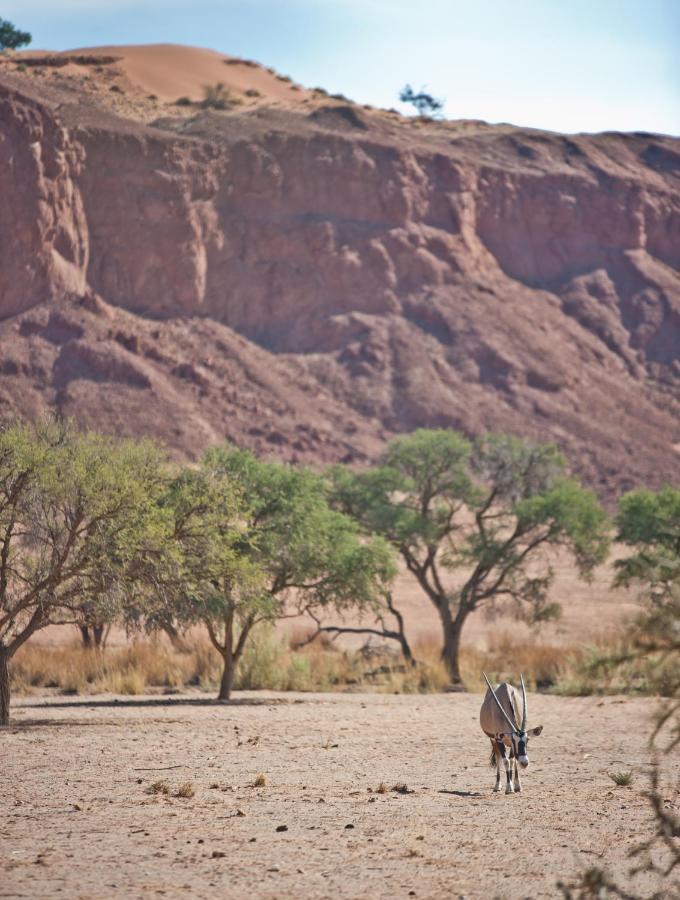 Namib Desert Campsite Солътер Екстериор снимка