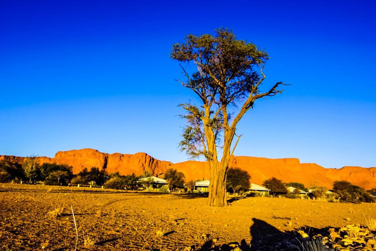 Namib Desert Campsite Солътер Екстериор снимка